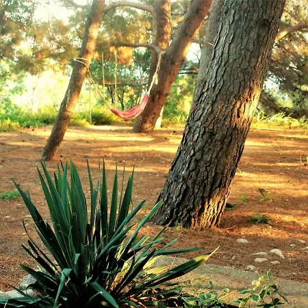 Quercus Lejlighed